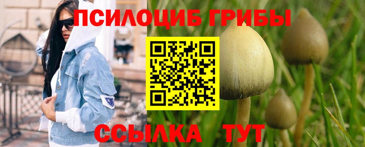 Владикавказ  Галлюциногенные грибы Psilocybe  Вход с VPN 